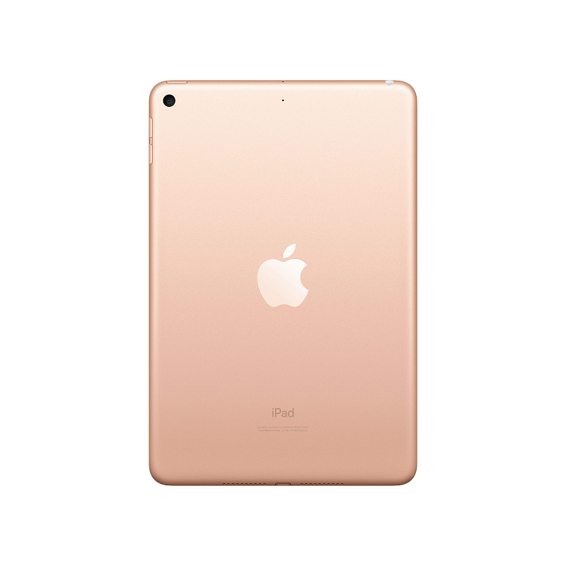 iPad Mini 5th Gen